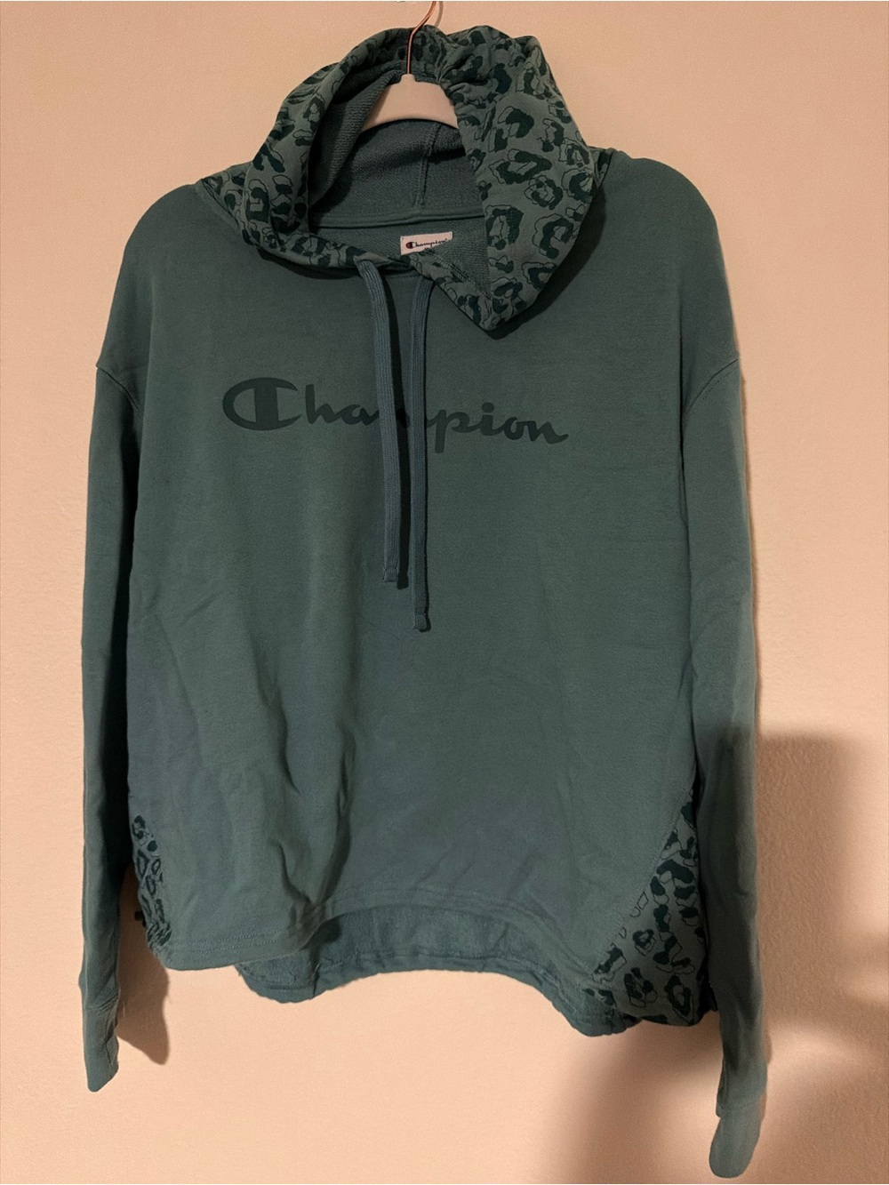 Champion Hoodie